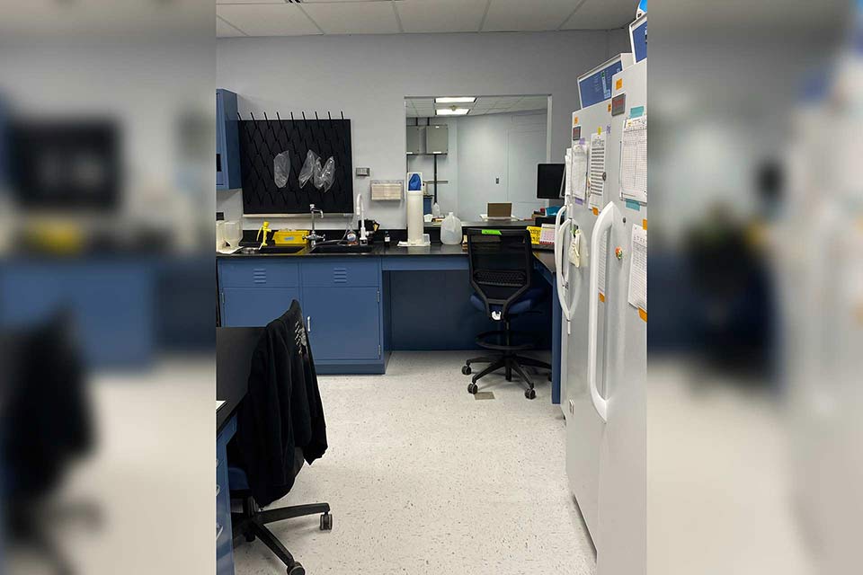 lab renovation