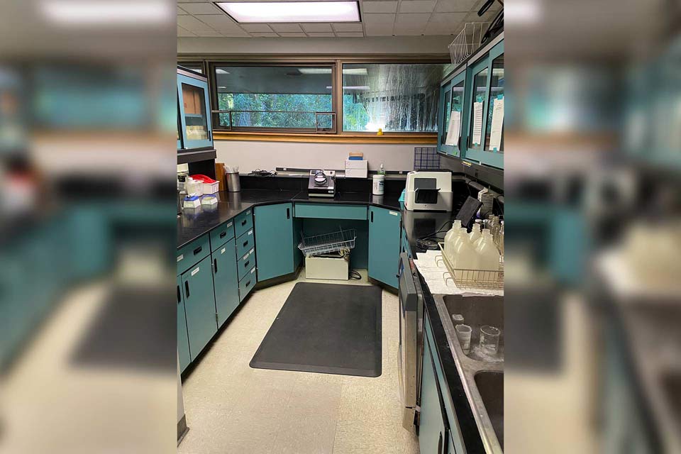 commercial lab renovation