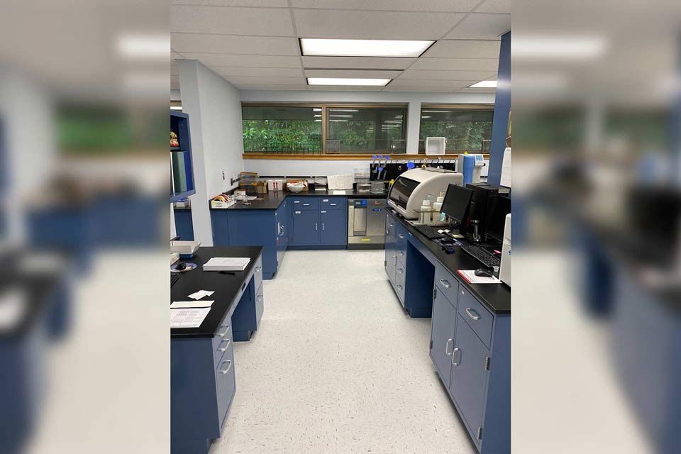 laboratory renovation contractor